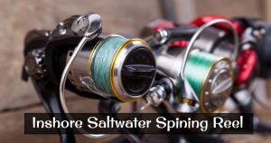 Best Inshore Saltwater Spining Reel in 2021