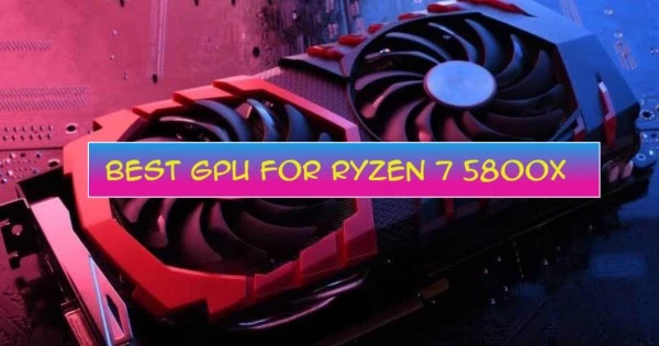 Best GPU For RYZEN 7 5800x in 2021 Reviews
